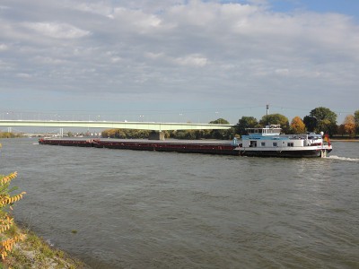 DSCN1609 (Copier).JPG (101.43 Kio) Vu 1401 fois DSCN1609 (Copier).JPG