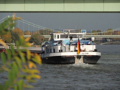 DSCN1612 (Copier).JPG (114.53 Kio) Vu 1401 fois DSCN1612 (Copier).JPG