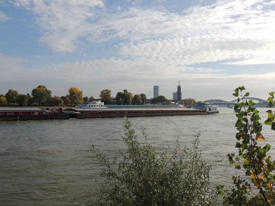 DSCN1607 (Copier).JPG (140.7 Kio) Vu 1401 fois DSCN1607 (Copier).JPG