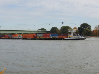 DSCN1503 (Copier).JPG (90.24 Kio) Vu 1736 fois DSCN1503 (Copier).JPG