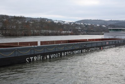 IMG_0707 (Copier).JPG (184.59 Kio) Vu 1422 fois IMG_0707 (Copier).JPG