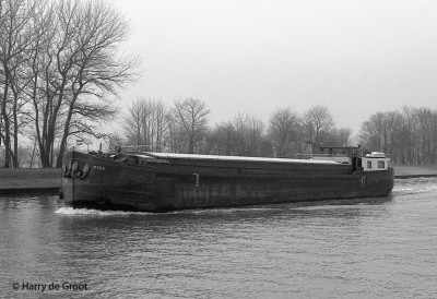 Mora 06000744 (1).jpg