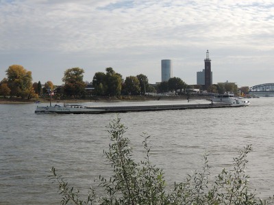 DSCN1565 (Copier).JPG (131.98 Kio) Vu 1333 fois DSCN1565 (Copier).JPG