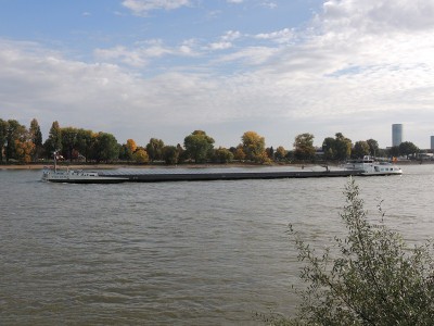 DSCN1567 (Copier).JPG (125.46 Kio) Vu 1333 fois DSCN1567 (Copier).JPG