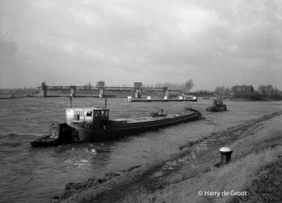 Suad 02302271 (1).jpg (141.49 Kio) Vu 4662 fois Suad 02302271 (1).jpg