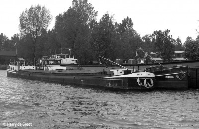 Spes 02307710 (2).jpg (170.12 Kio) Vu 1826 fois Spes 02307710 (2).jpg