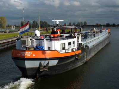 proserpina826102011.jpg (161.69 Kio) Vu 3271 fois proserpina826102011.jpg