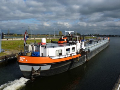 proserpina726102011.jpg (165.92 Kio) Vu 3288 fois proserpina726102011.jpg