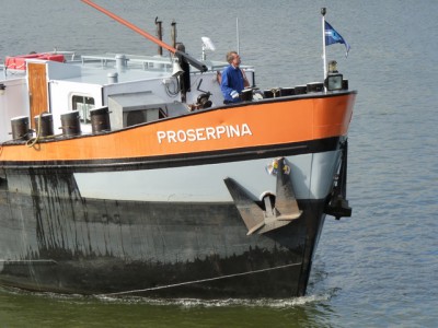 proserpina626102011.jpg (155.15 Kio) Vu 3288 fois proserpina626102011.jpg