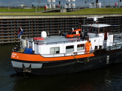 proserpina526102011.jpg (174.39 Kio) Vu 3288 fois proserpina526102011.jpg