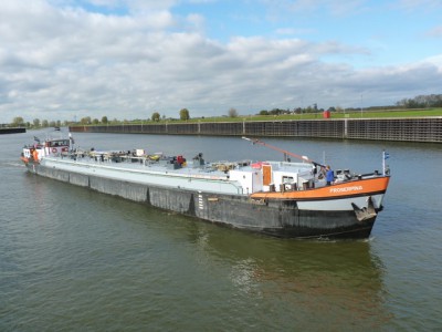 proserpina426102011.jpg (154.24 Kio) Vu 3282 fois proserpina426102011.jpg