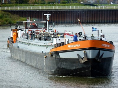 proserpina226102011.jpg (108 Kio) Vu 3288 fois proserpina226102011.jpg