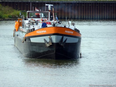 proserpina126102011.jpg (99.86 Kio) Vu 3288 fois proserpina126102011.jpg