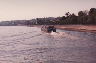 doma 001.jpg