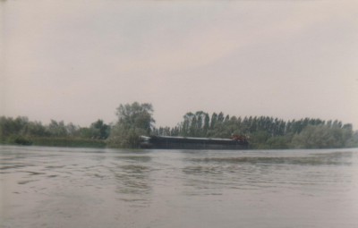 doma 006.jpg