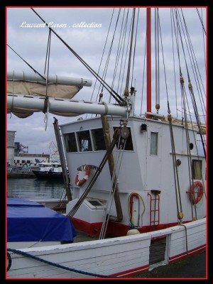SSA42313.JPG (189.92 Kio) Vu 1984 fois SSA42313.JPG