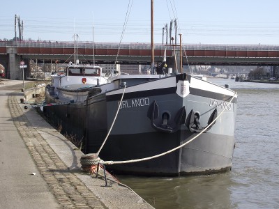 2013_02102010_12050022 - Copie.JPG (266.19 Kio) Vu 4467 fois 2013_02102010_12050022 - Copie.JPG