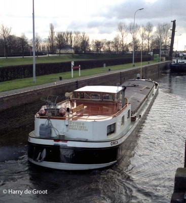 Orca 02307700 (6).jpg (116.77 Kio) Vu 8533 fois Orca 02307700 (6).jpg