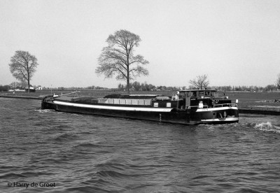 Orca 02307700 (2).jpg (175.32 Kio) Vu 8515 fois Orca 02307700 (2).jpg