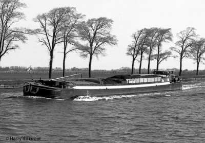 Orca 02307700 (1).jpg (143.79 Kio) Vu 8524 fois Orca 02307700 (1).jpg