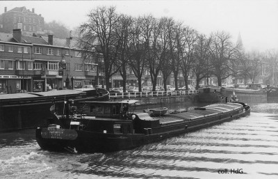 Petite Fleur 06001895 (5).jpg (166.08 Kio) Vu 2076 fois Petite Fleur 06001895 (5).jpg