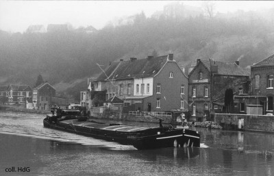 Petite Fleur 06001895 (4).jpg (105.47 Kio) Vu 2076 fois Petite Fleur 06001895 (4).jpg