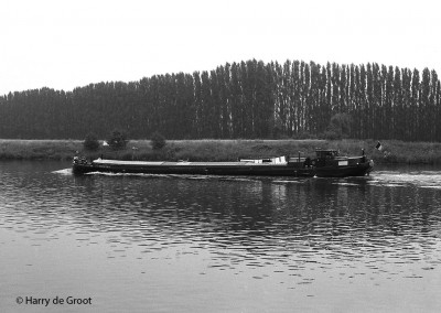 Petite Fleur 06001895 (2).jpg (189.66 Kio) Vu 2076 fois Petite Fleur 06001895 (2).jpg