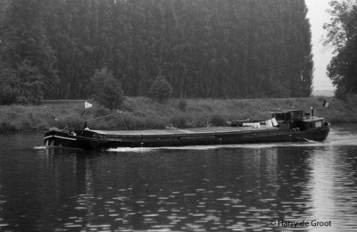 Petite Fleur 06001895 (3).jpg (138.15 Kio) Vu 2076 fois Petite Fleur 06001895 (3).jpg