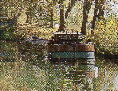dole-x-extCP-as-198111b.jpg