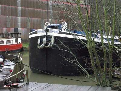 2013_02012010_12050019²³.jpg