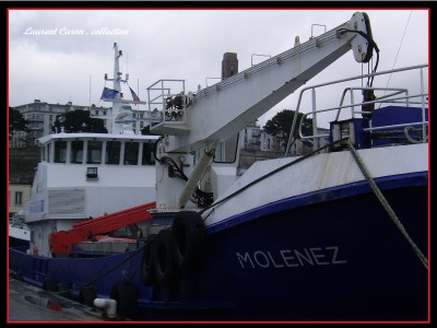 SSA42282.JPG (183.26 Kio) Vu 1611 fois SSA42282.JPG