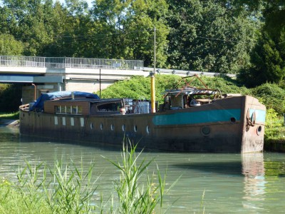 IRIS 01.JPG (195.28 Kio) Vu 7436 fois IRIS 01.JPG