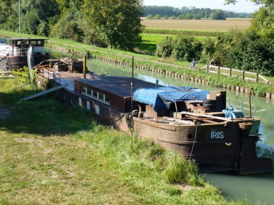 IRIS 07.JPG (208.6 Kio) Vu 7429 fois IRIS 07.JPG