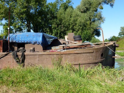 IRIS 09.JPG (222.09 Kio) Vu 7420 fois IRIS 09.JPG