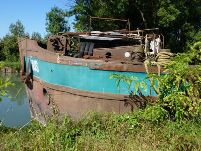 IRIS 10.JPG (208.03 Kio) Vu 7420 fois IRIS 10.JPG