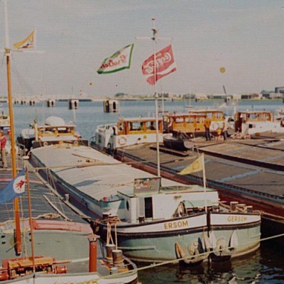 Condor 02309485 %281%29.jpg (82.62 Kio) Vu 2448 fois Condor 02309485 %281%29.jpg