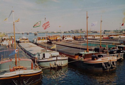 Condor 02309485 (1).jpg (175.13 Kio) Vu 2023 fois Condor 02309485 (1).jpg