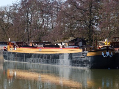 merkur (3).JPG