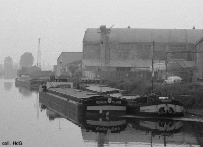 Romira 01.jpg (200.91 Kio) Vu 2745 fois Romira 01.jpg