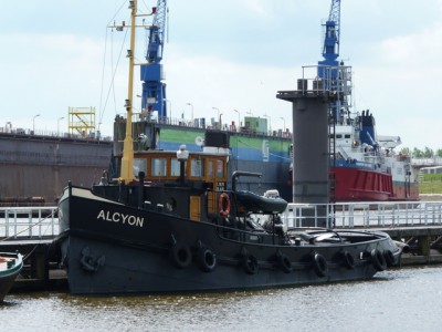 alcyon117062011.jpg