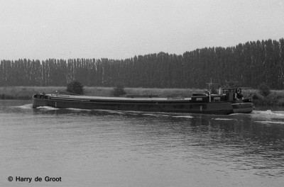 Remora (3).jpg (131.75 Kio) Vu 3603 fois Remora (3).jpg