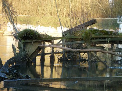 P1150593INCONNU.jpg