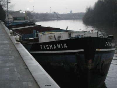 SAM_2033.JPG (74.07 Kio) Vu 2216 fois SAM_2033.JPG