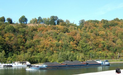 Tasmania.jpg (202.47 Kio) Vu 2199 fois Tasmania.jpg