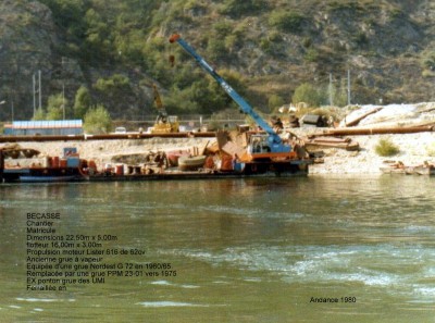 PG 06-BECASSE.jpg (141.34 Kio) Vu 915 fois PG 06-BECASSE.jpg