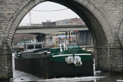 016.JPG (114.01 Kio) Vu 2657 fois 016.JPG