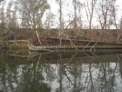 DSC01111.JPG (250.52 Kio) Vu 7202 fois DSC01111.JPG