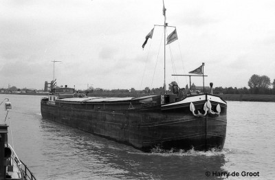 Nieuwezorg II 02103592 (1).jpg (113.54 Kio) Vu 3679 fois Nieuwezorg II 02103592 (1).jpg