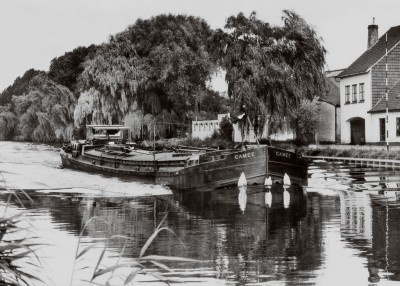 Camee 01.jpg (223.18 Kio) Vu 1468 fois Camee 01.jpg