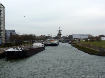 jasmijn-2-schiedam-16-03-2013.jpg